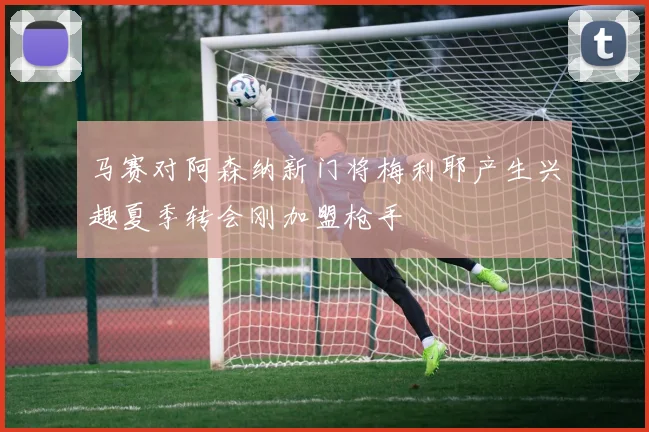 马赛对阿森纳新门将梅利耶产生兴趣夏季转会刚加盟枪手