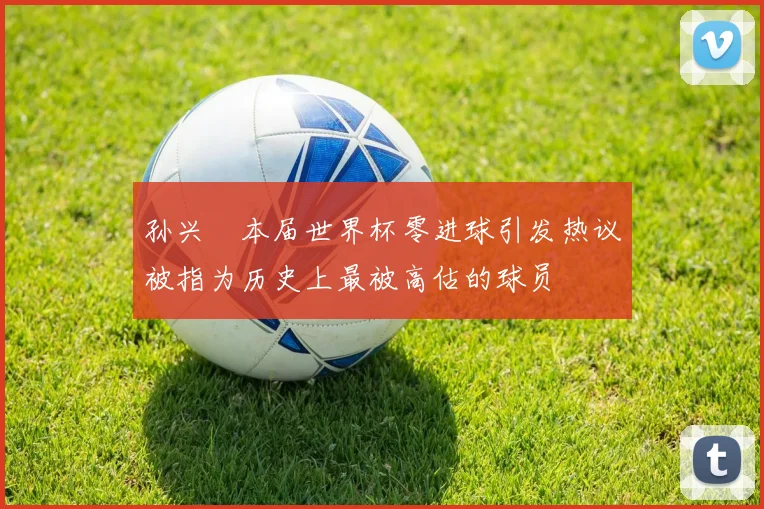 孙兴慜本届世界杯零进球引发热议被指为历史上最被高估的球员